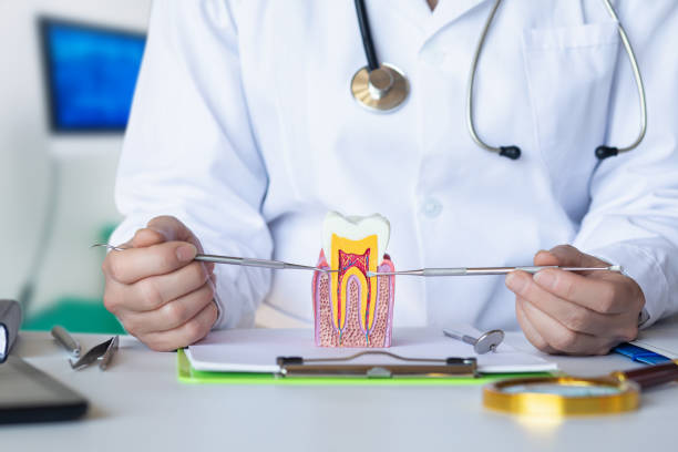 Best Emergency Treatment for Jaw Pain or Injury in Meeker, CO